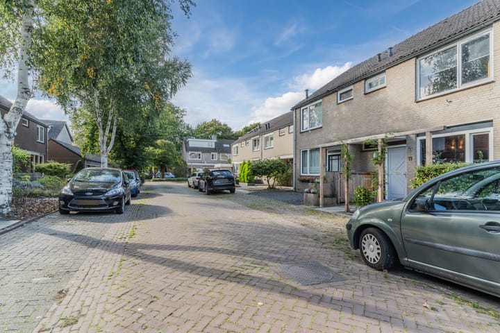 Foto 34 van Snaphaan 11