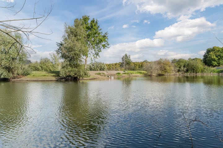 Foto 35 van Snaphaan 11