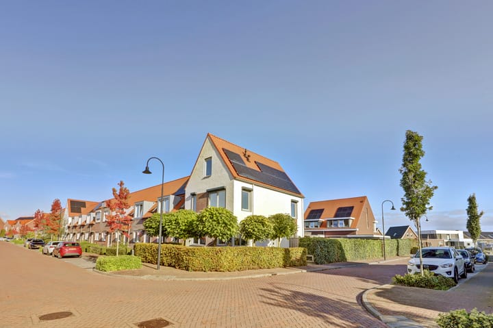 Foto 3 van Krullevaar 45