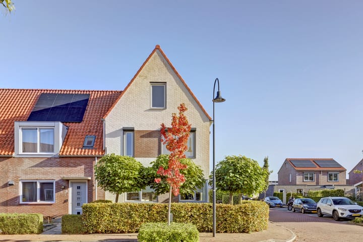 Foto 4 van Krullevaar 45