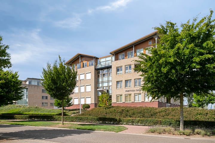 Foto 5 van Lavendel 499