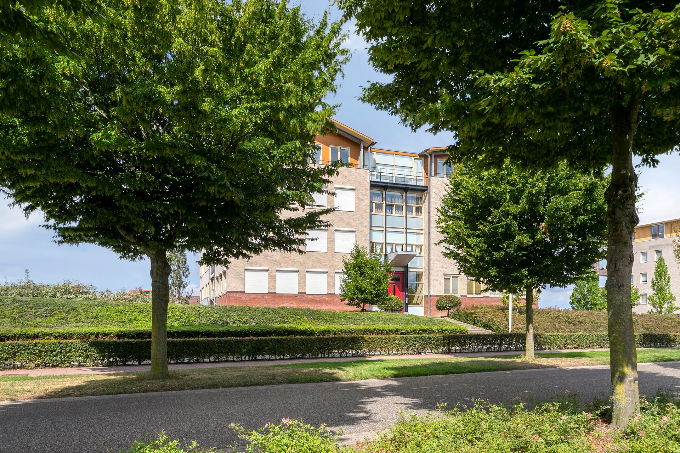 Foto 6 van Lavendel 499