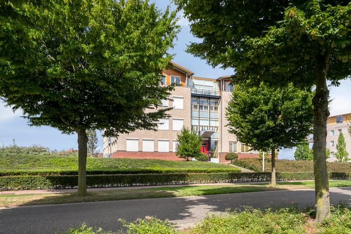 Foto 6 van Lavendel 499