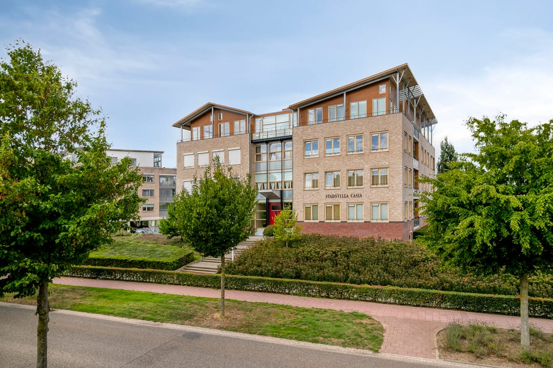 Foto 7 van Lavendel 499