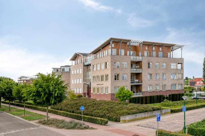 Foto 8 van Lavendel 499