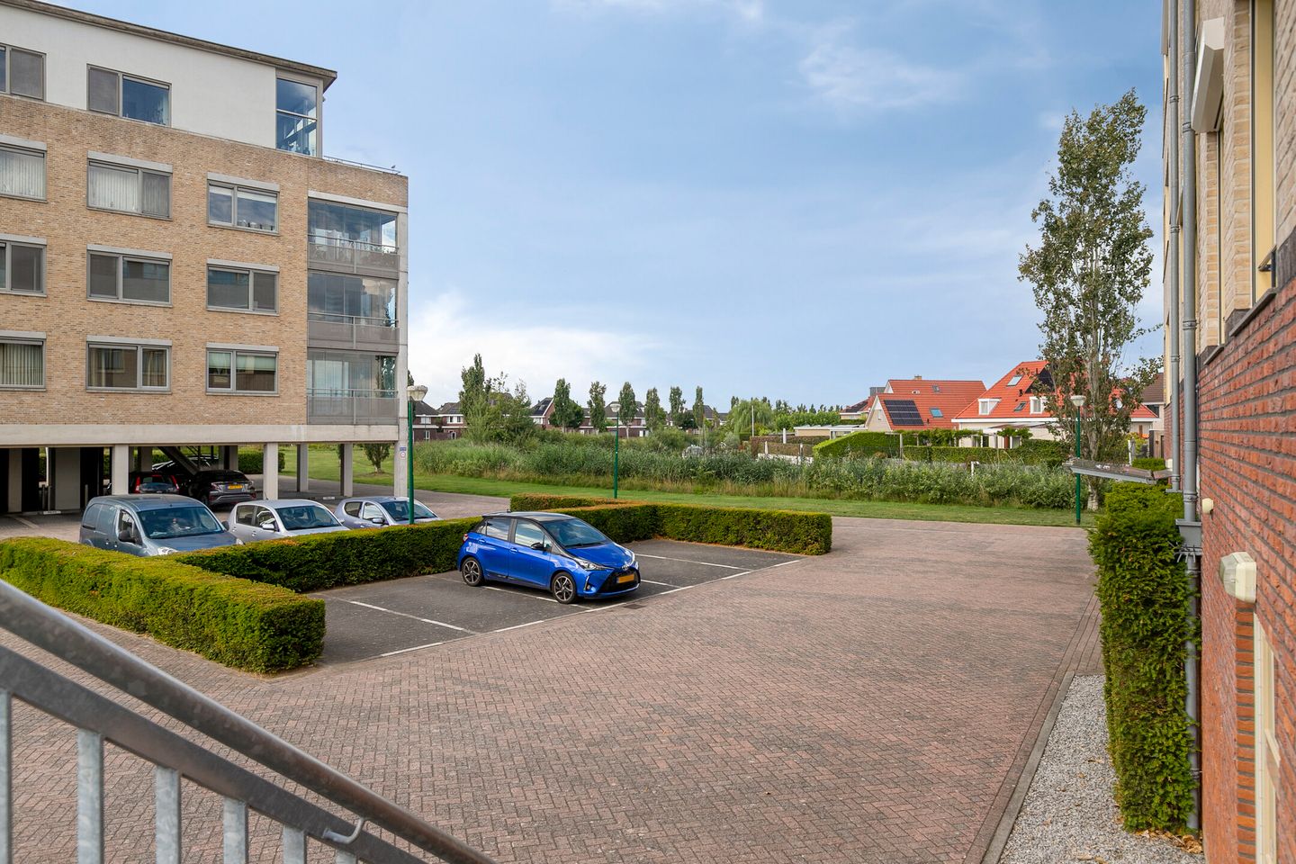 Foto 10 van Lavendel 499