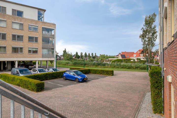 Foto 10 van Lavendel 499