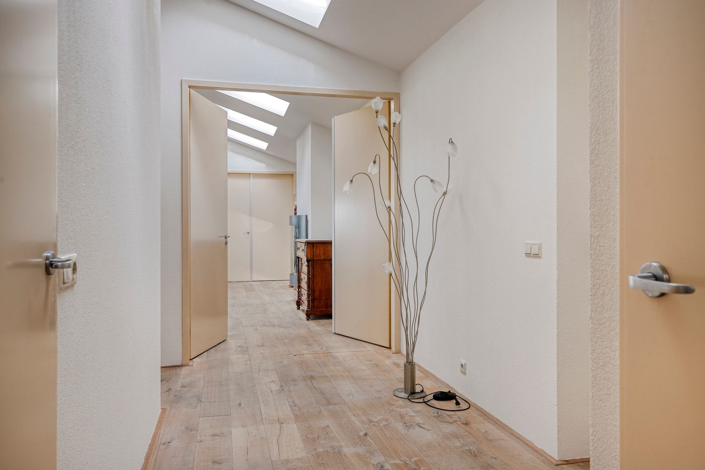 Foto 14 van Lavendel 499