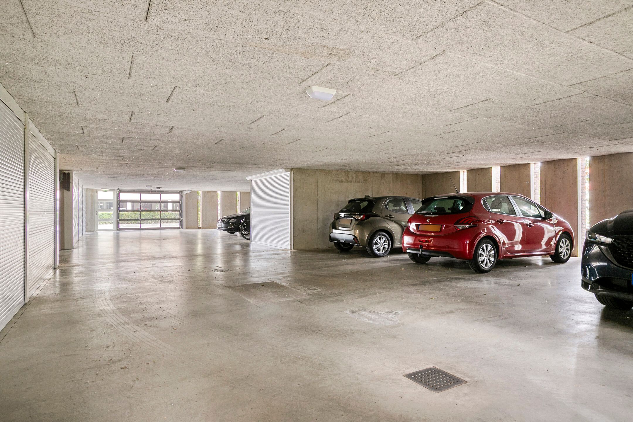 Foto 42 van Lavendel 499