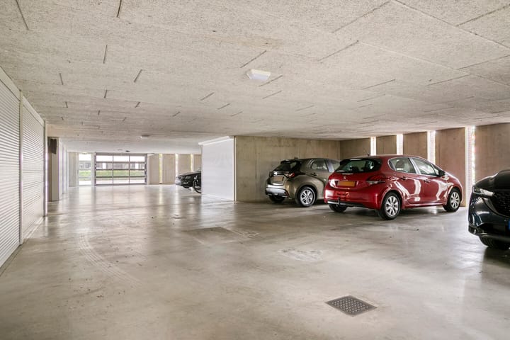 Foto 42 van Lavendel 499