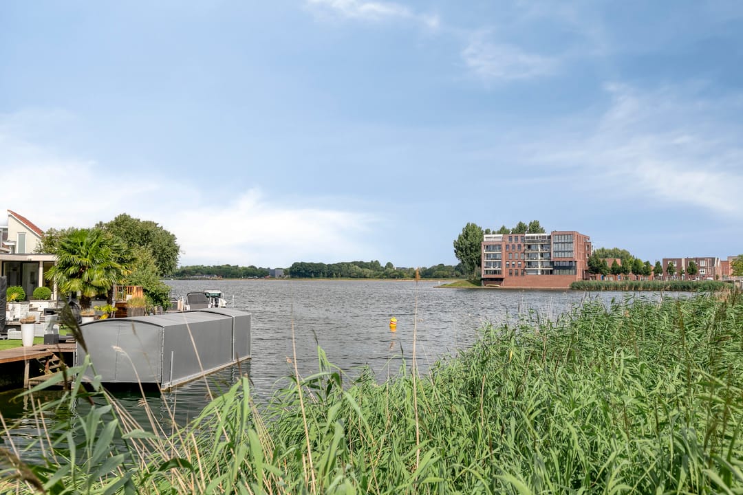 Foto 46 van Lavendel 499