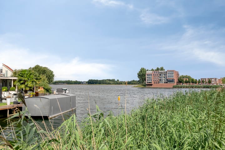 Foto 46 van Lavendel 499