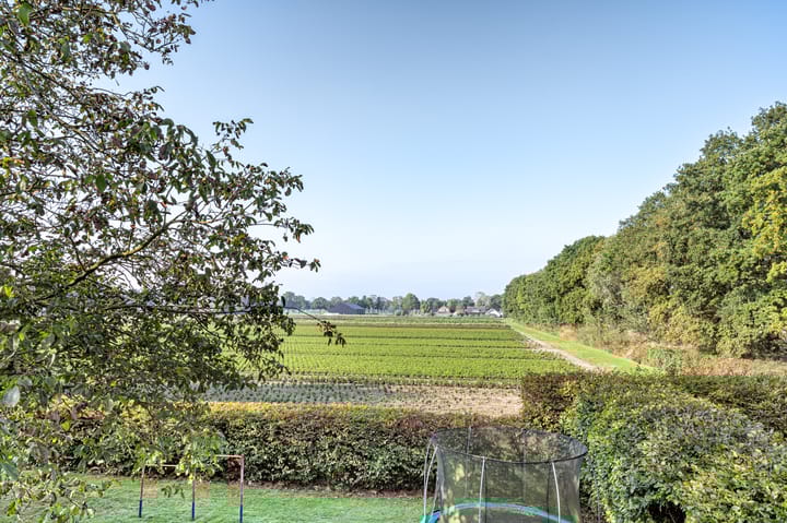 Foto 35 van Houtsestraat 18-A