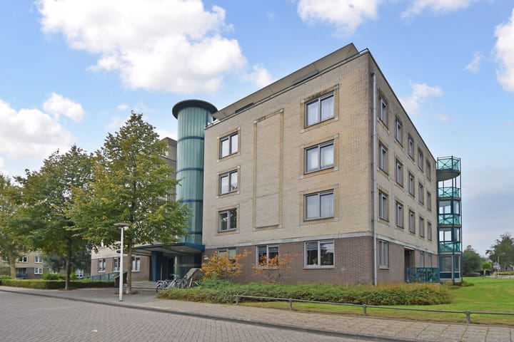 Foto 6 van Ridderspoor 8