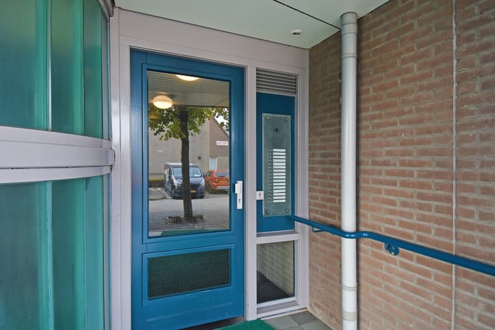 Foto 7 van Ridderspoor 8