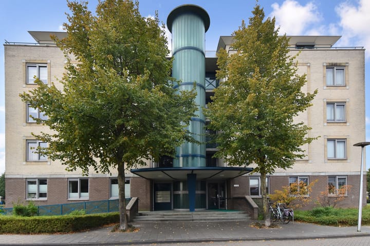 Foto 35 van Ridderspoor 8