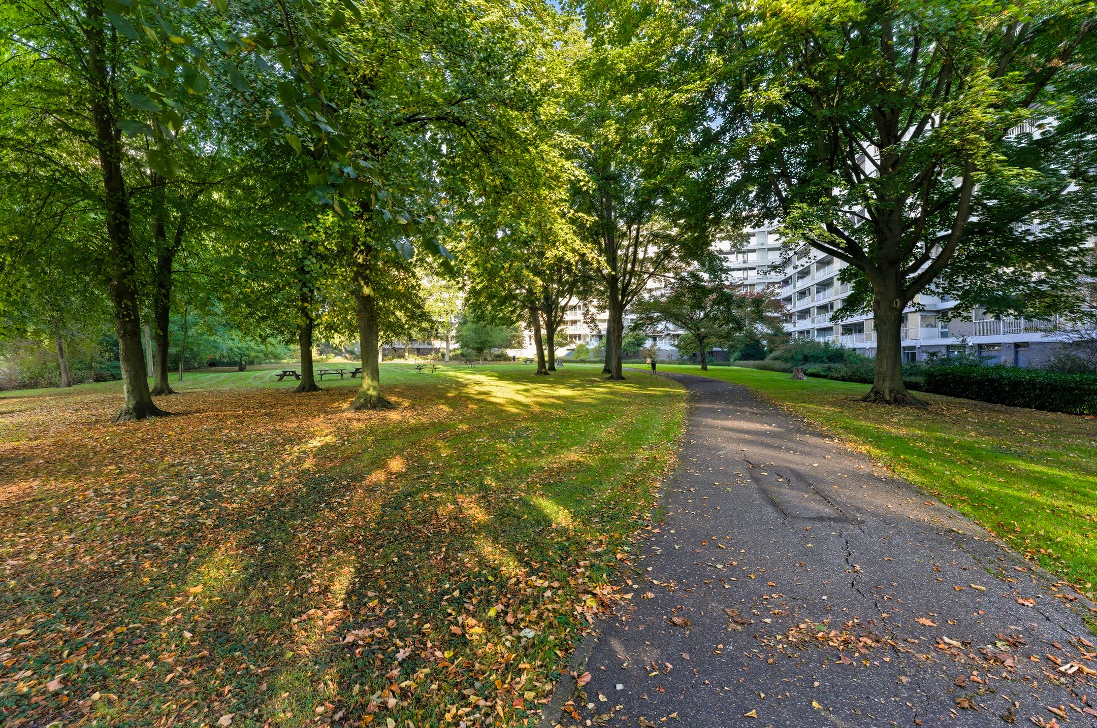 Photo 39 of André Gideplaats 435