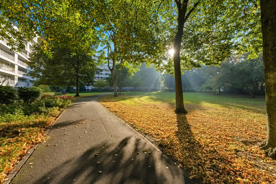 Photo 41 of André Gideplaats 435