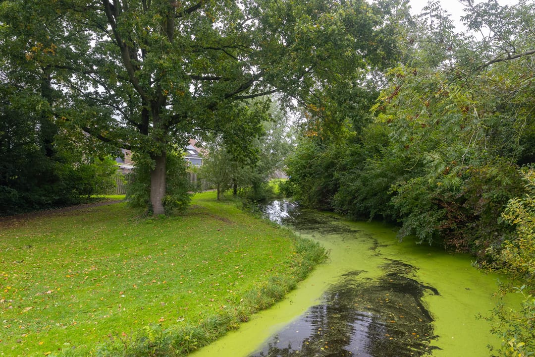 Foto 53 van Kosterkring 18