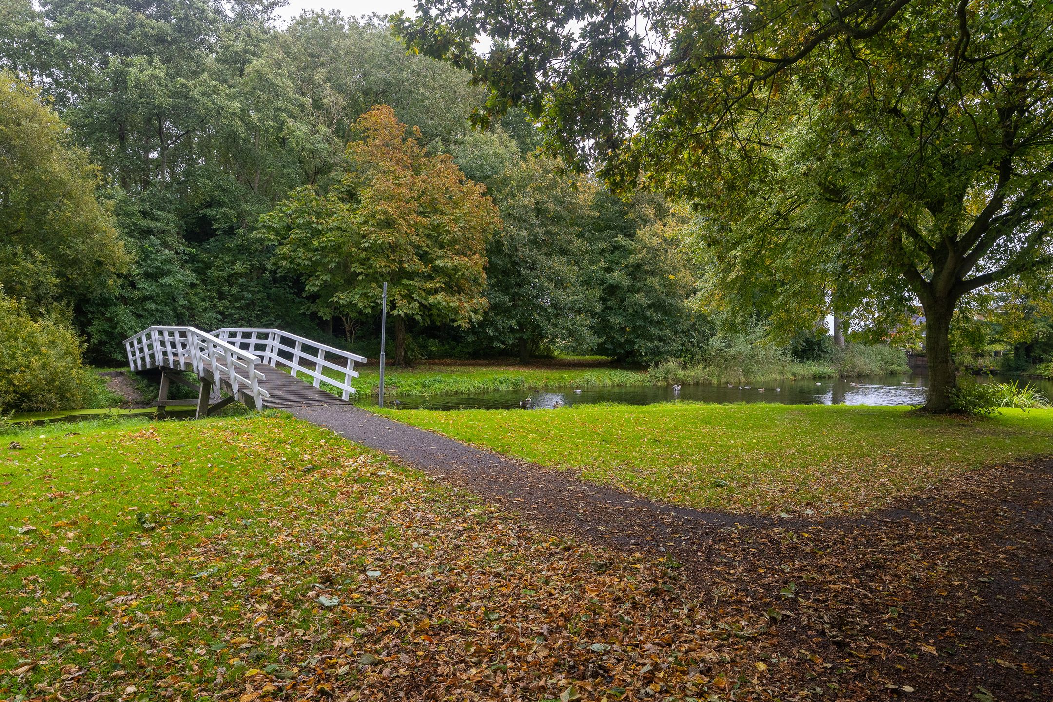 Foto 54 van Kosterkring 18