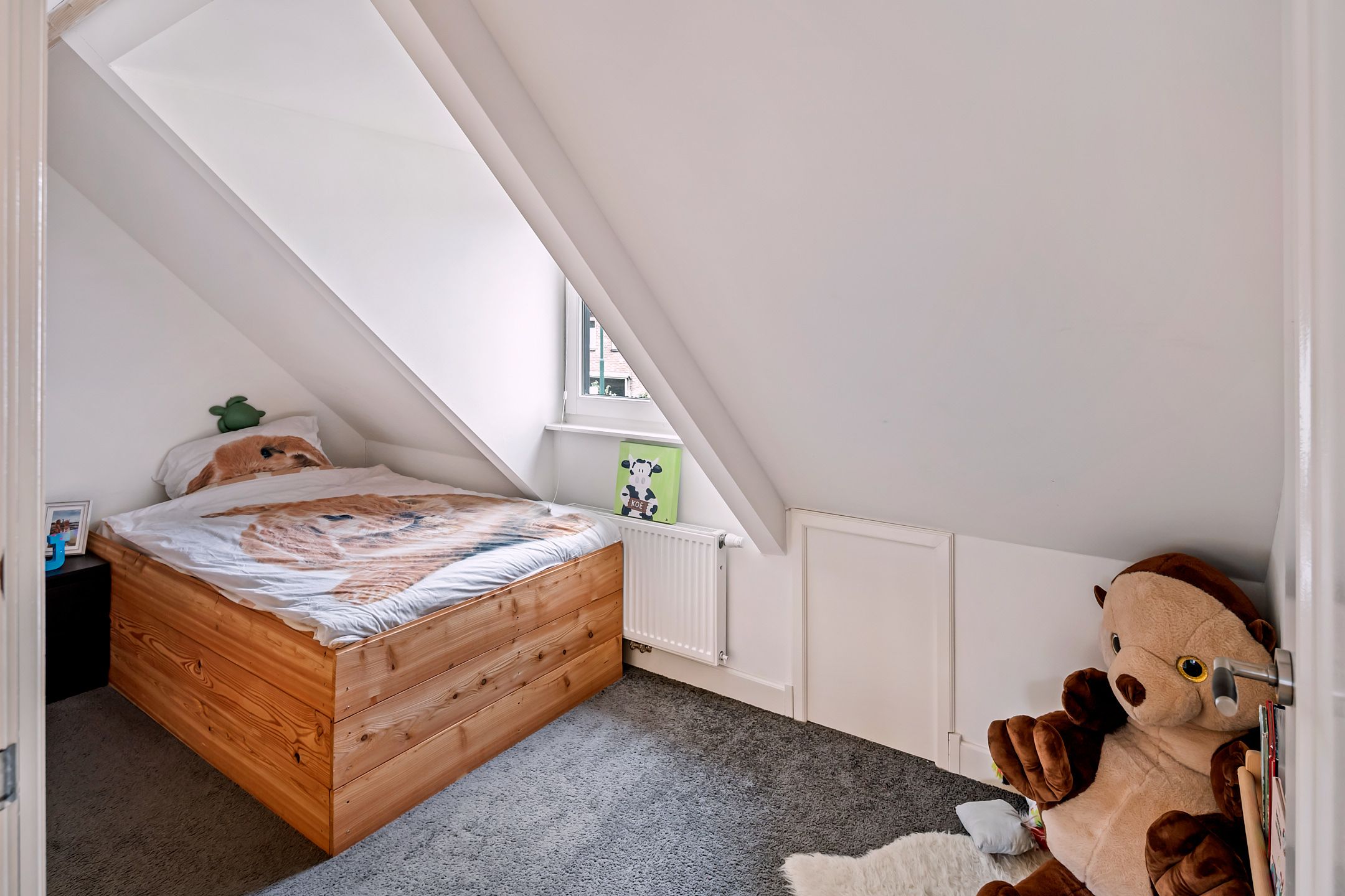 Foto 33 van Lieshoutseweg 37