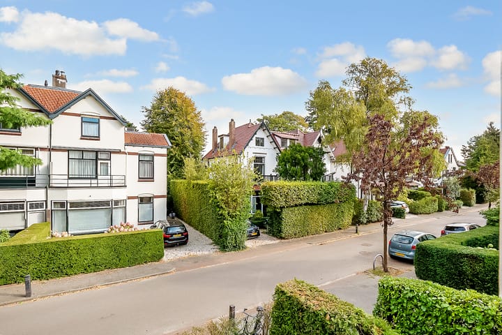 Photo 38 of Nassaulaan 48