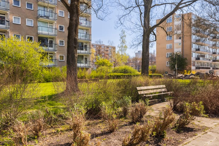 Foto 34 van Bijdorp 21