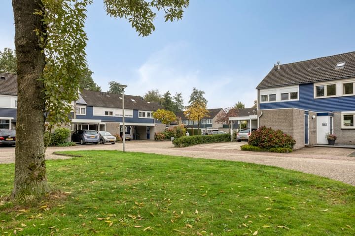 Foto 4 van Salviastraat 47