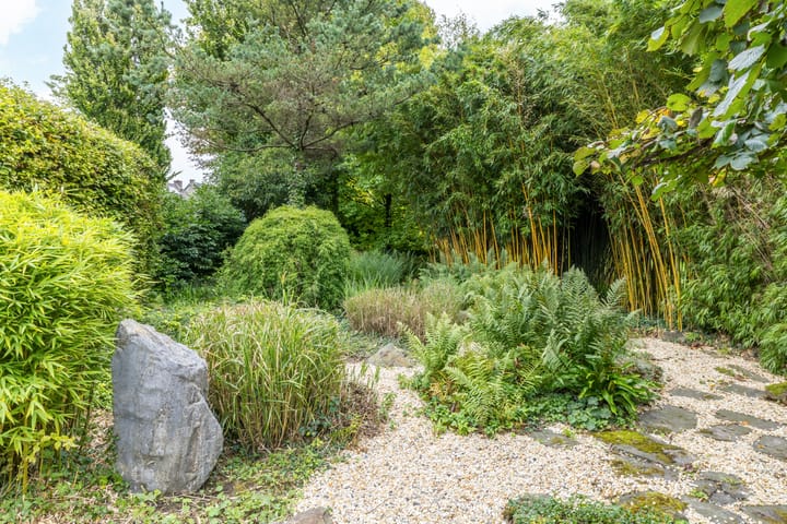 Foto 39 van Onderstestraat 23