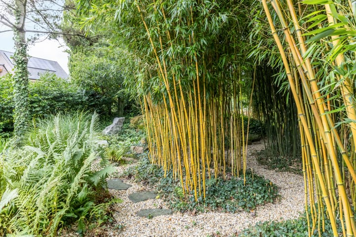 Foto 40 van Onderstestraat 23