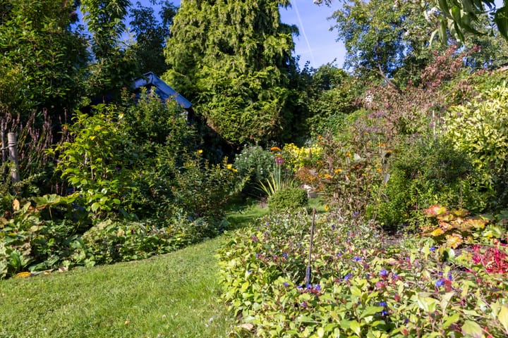 Foto 35 van Mendelssohnplein 6