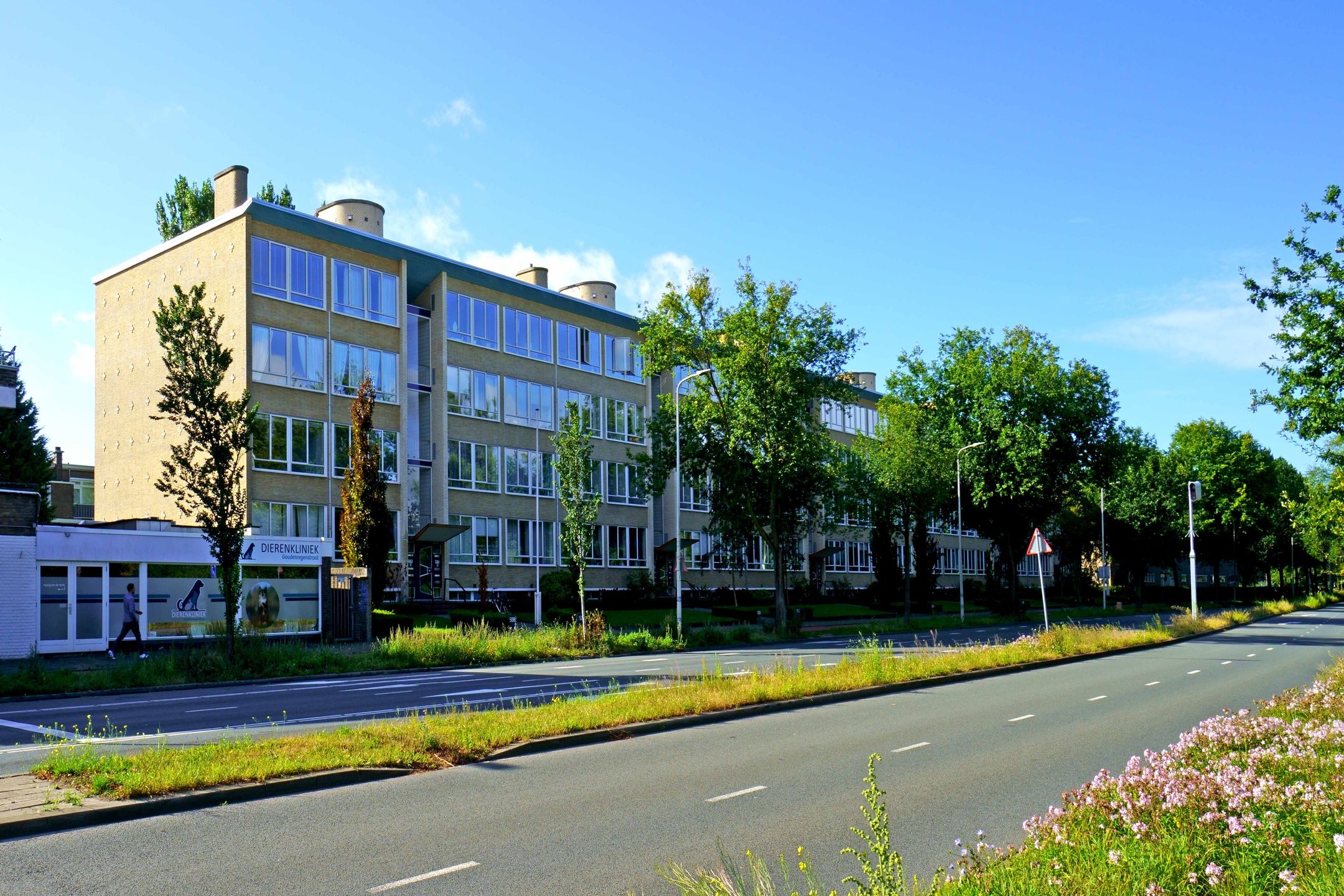 Photo 15 of Segbroeklaan 528