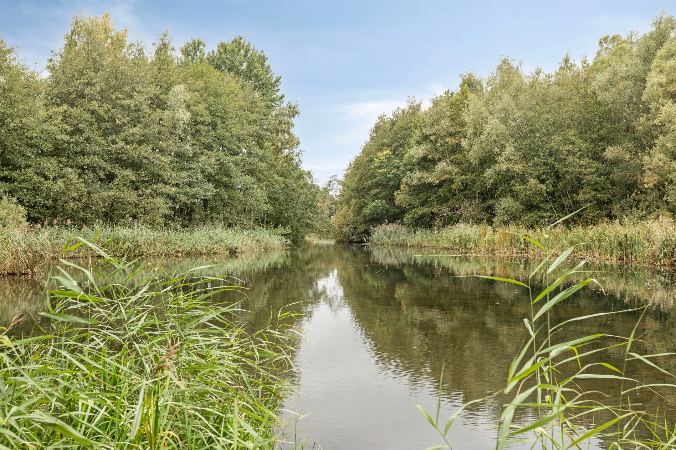 Foto 48 van Kleinekolk 4