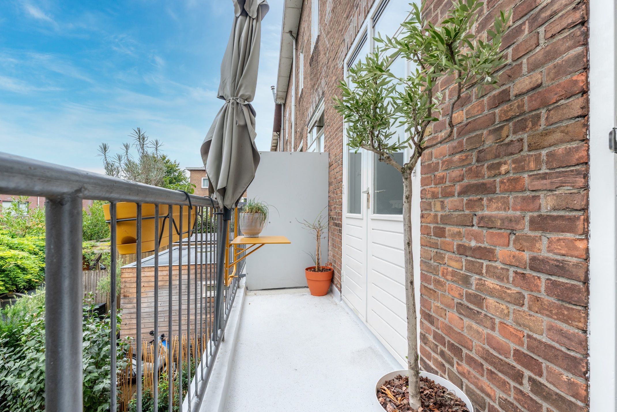 Foto 3 van Laan van Nieuw-Guinea 4-BS