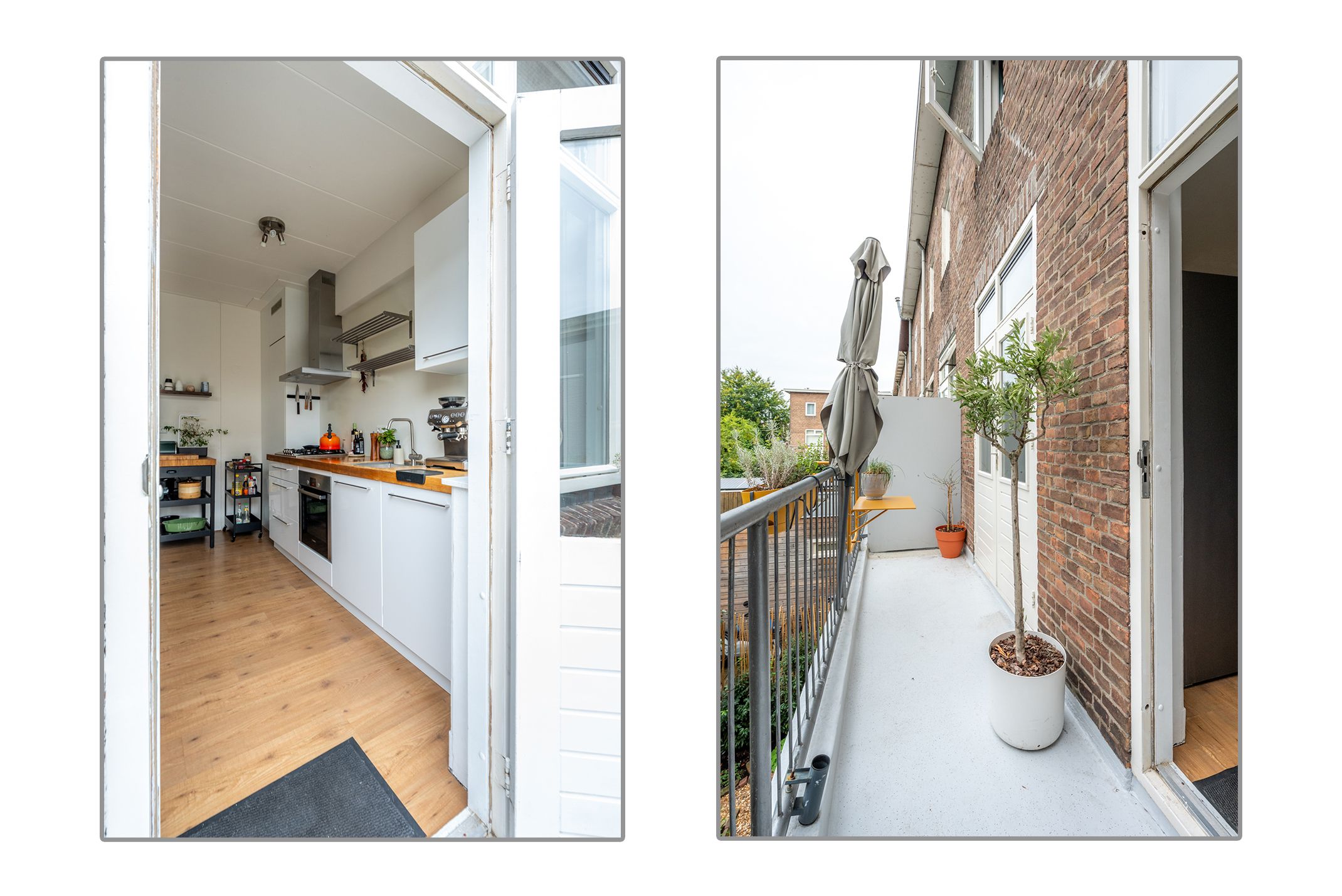 Foto 21 van Laan van Nieuw-Guinea 4-BS