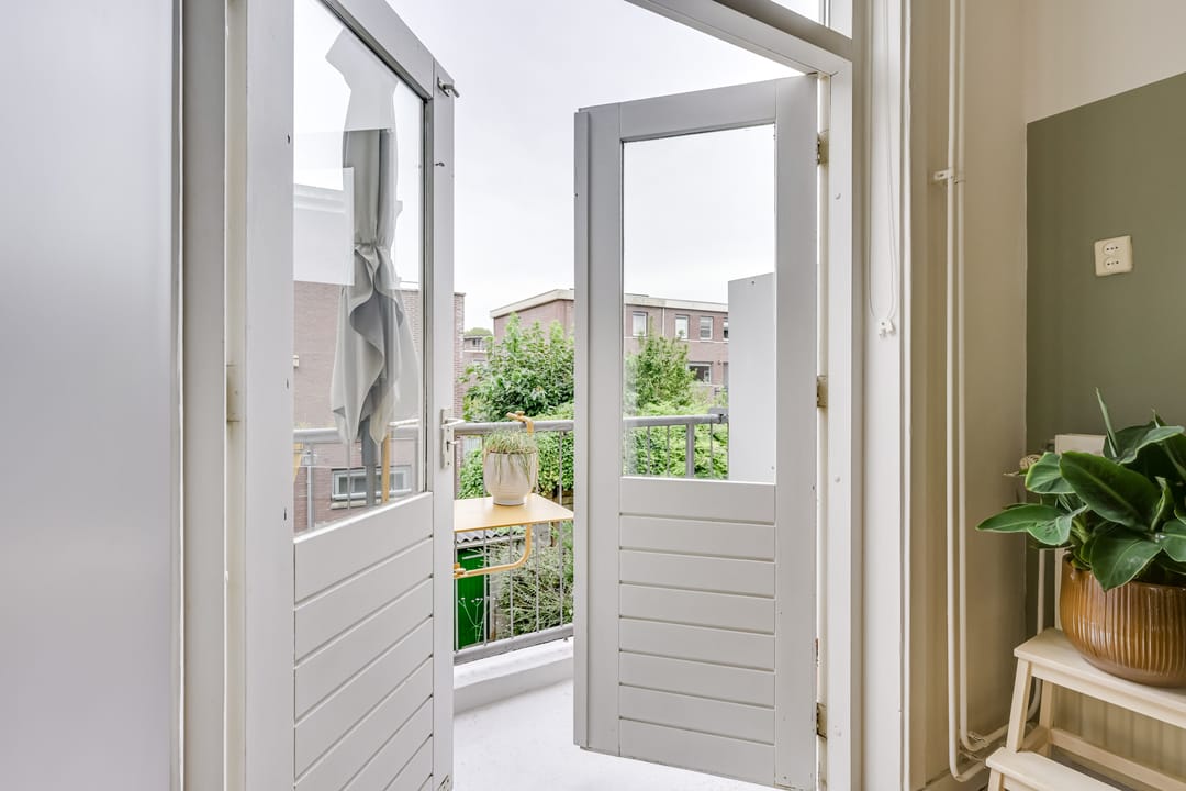 Foto 23 van Laan van Nieuw-Guinea 4-BS