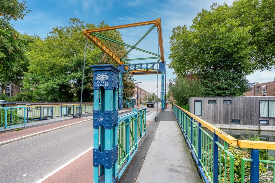 Foto 41 van Laan van Nieuw-Guinea 4-BS