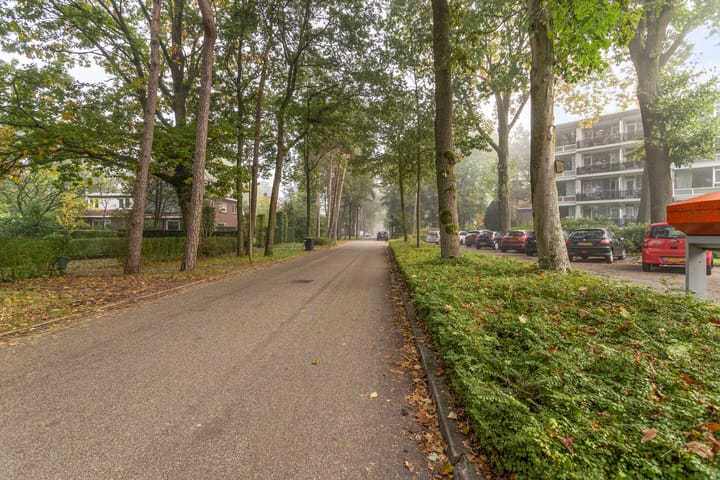 Photo 25 of Koningin Emmalaan 29-61