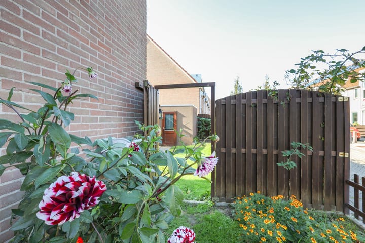 Foto 42 van Alardusdreef 77