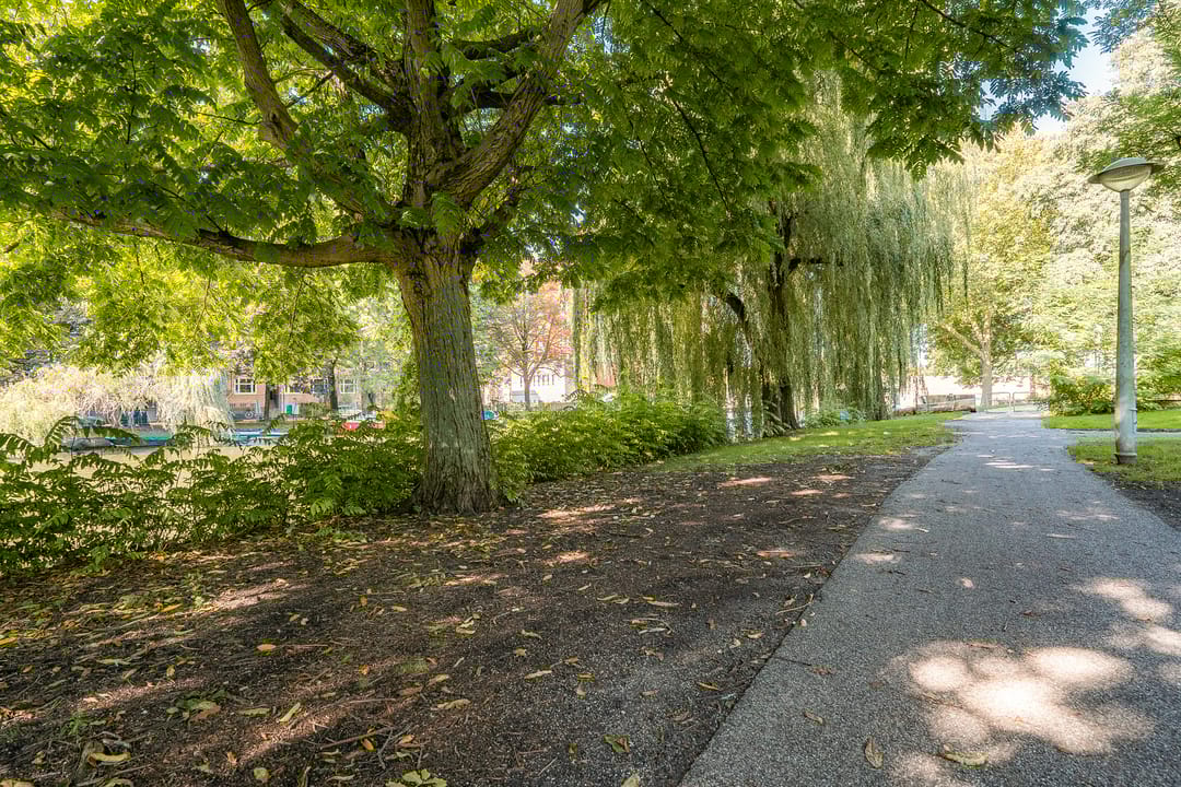 Foto 37 van Marcantilaan 439