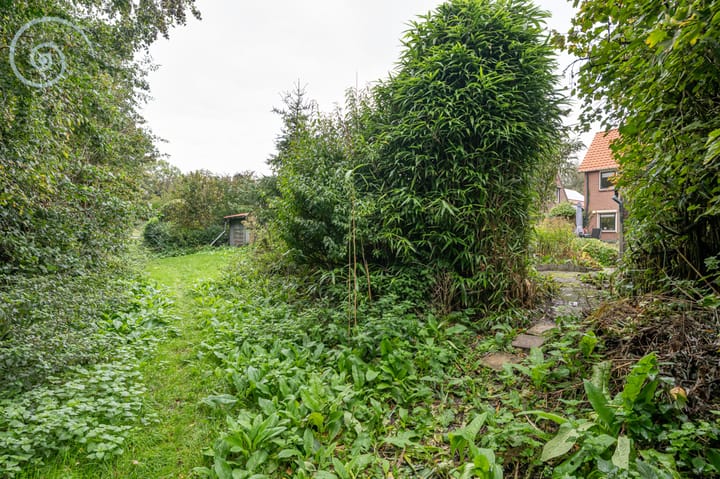 Foto 4 van Breenstraat 35