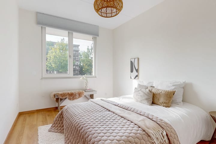 Foto 4 van Pieter Lieftinckstraat 9