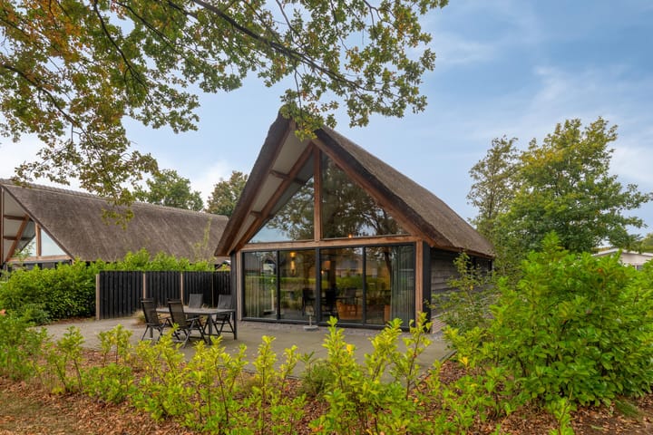 Foto 2 van Kievit 12-B674