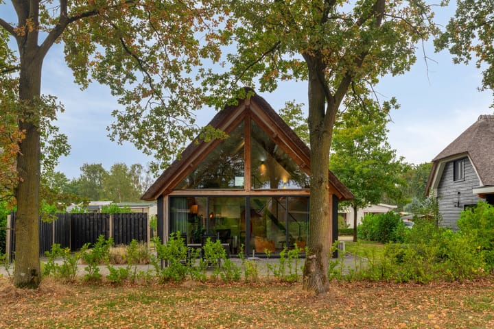 Foto 1 van Kievit 12-B674