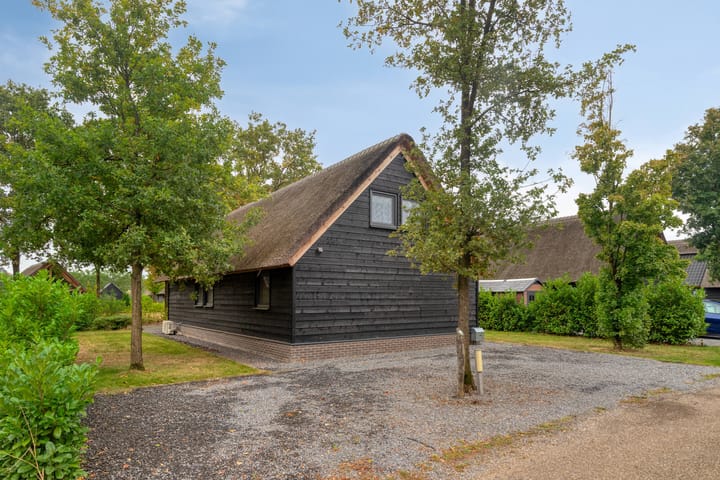 Foto 34 van Kievit 12-B674