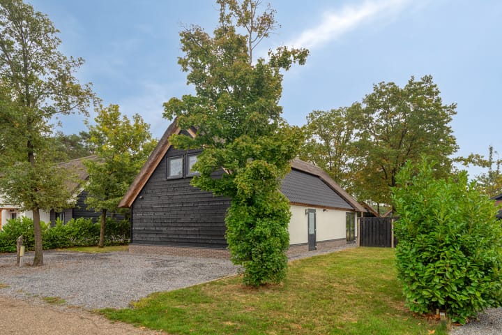 Foto 36 van Kievit 12-B674