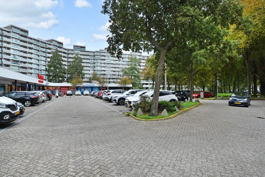 Foto 7 van Forellendaal 130