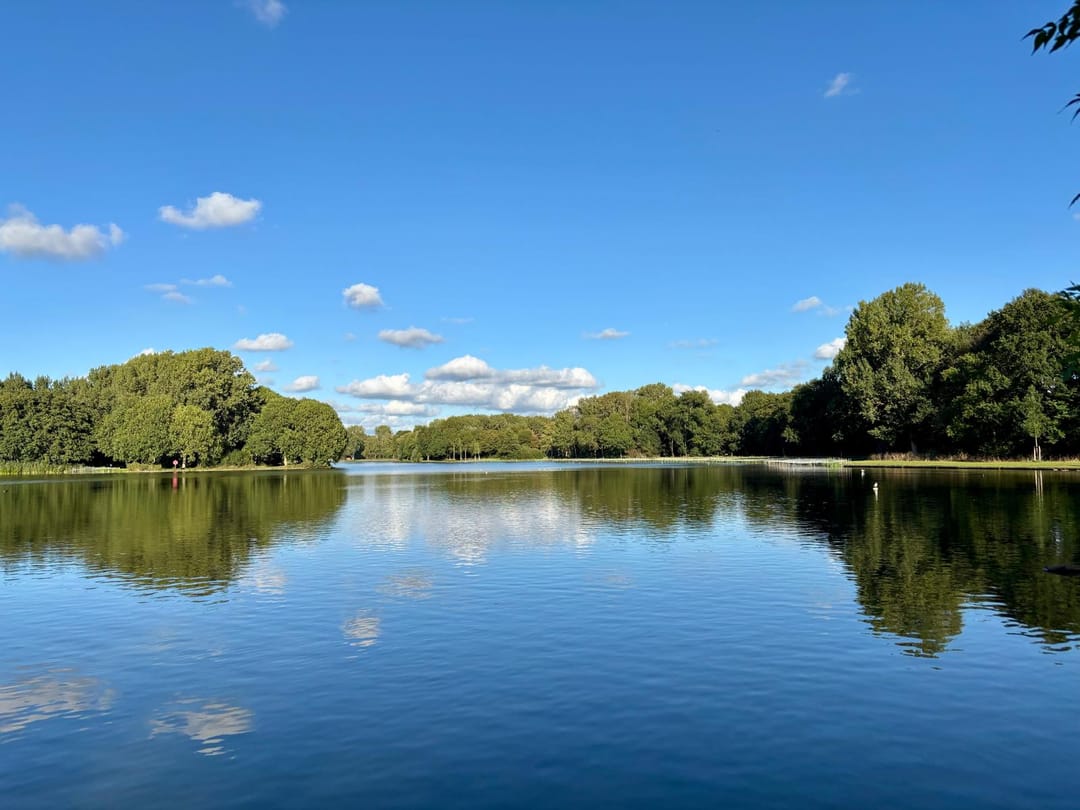 Foto 37 van Forellendaal 130