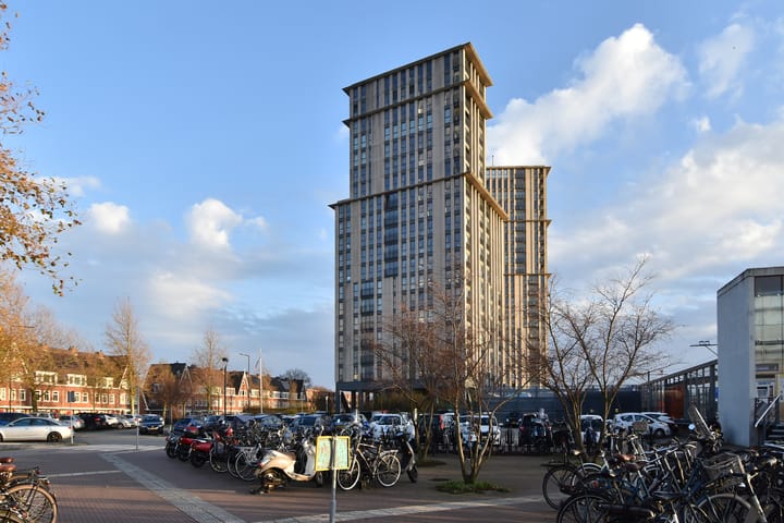 Foto 4 van Merellaan 1351