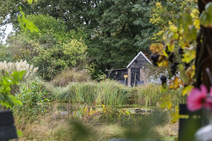 Foto 48 van Schoneveldsdijk 28